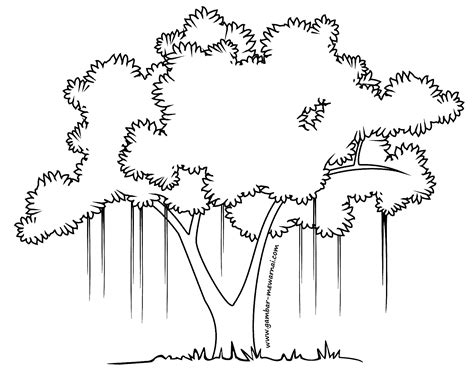 Pohon Mewarnai Sketsa Apel Mewarna Mangga Menggambar Pemandangan