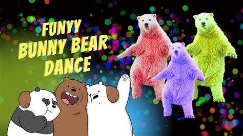 Funny Bunny Bear Dance Video Shorts Youtube