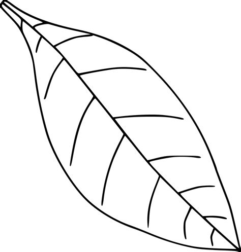 Simple Leaf Drawing At Getdrawings Free Download