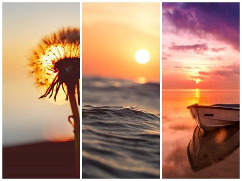 40 Amazing Sunset Quotes That Prove How Beautiful The