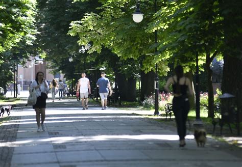 Pi Kny Pocz Tek Tygodnia W Radomiu S Oneczna Pogoda Zwabi A