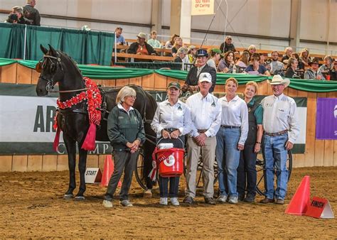 Carriage Driving Horse Crowned With Vita Flex Victory Pass Award At