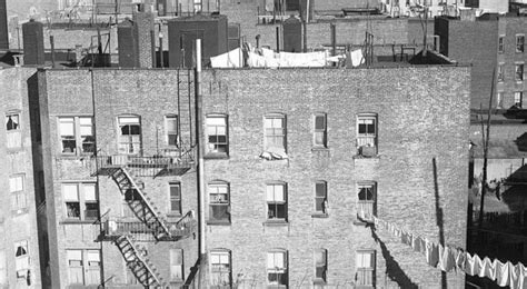 How The Bronx Nurtured The Man Who Nurtures The City Bronx City Slums