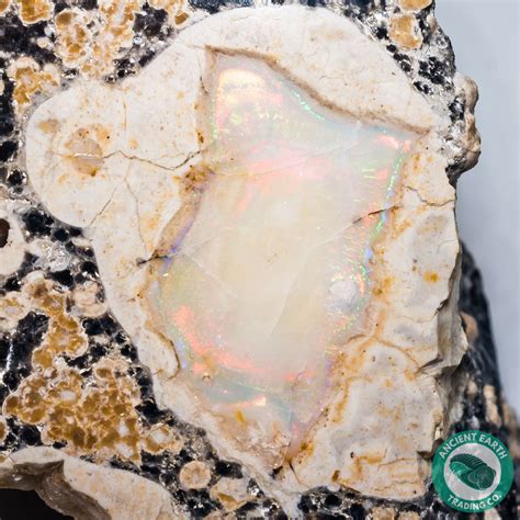 387 In Complete Opal Thunderegg Nodule Idaho Opal Minerals