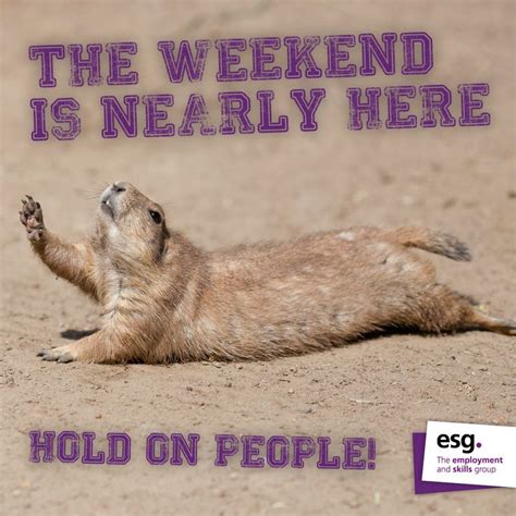 The Weekend Is Nearly Here Hold On People Weekend Meme Memes