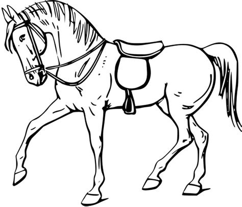 Dibujos de caballos para colorear e imprimir gratis, caballos para pintar