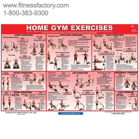 Laminated Poster Home Gym Exercises Fitness Factory