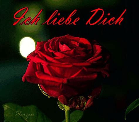 Ich liebe dich mein schatz baloo picmix. Ich liebe Dich GIFs. 90 animierte Bilder für eine ...