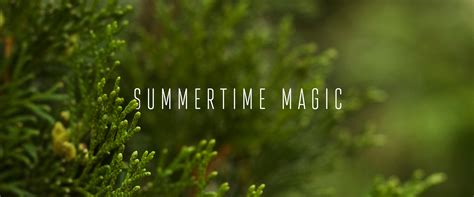 Summertime Magic | Behance