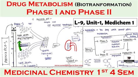 Drug Metabolism Phase 1 And Phase 2 Biotranformation L 9 U 1