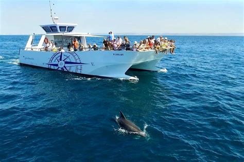 Top 10 Best Algarve Dolphin Watching Activities Book Now