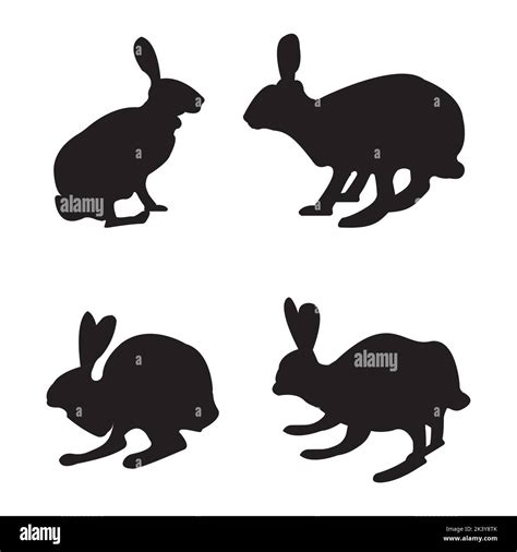 Vector Set Of Rabbits Animal Silhouettes Illustration Isolated On White