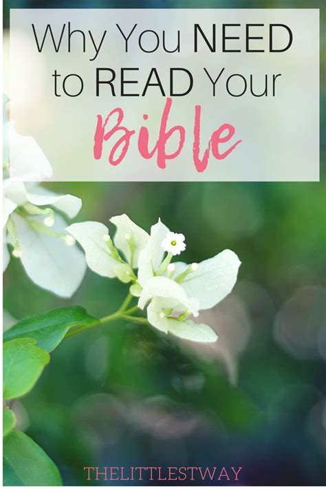 Why You Need To Read Your Bible The Littlest Way Bible Studies For