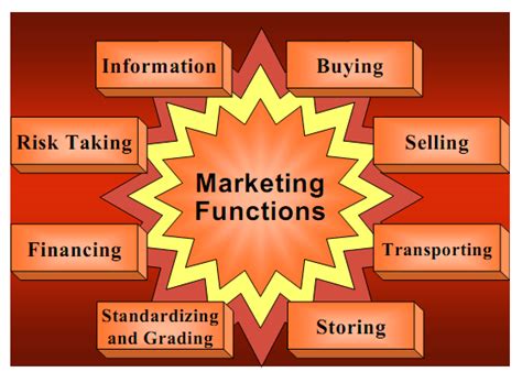 Exactly What Are The Functions Of Marketing Intermediaries