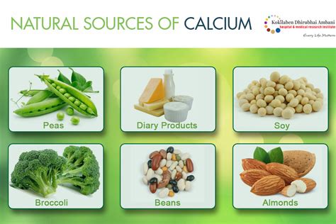 Natural Sources Of Calcium Health Tips From Kokilaben Hospital