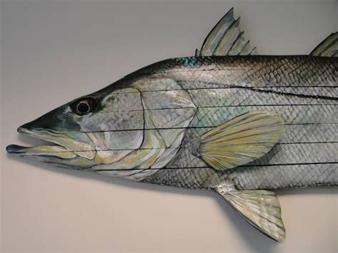 Snook Artwork Artwork Fish Painting Snook