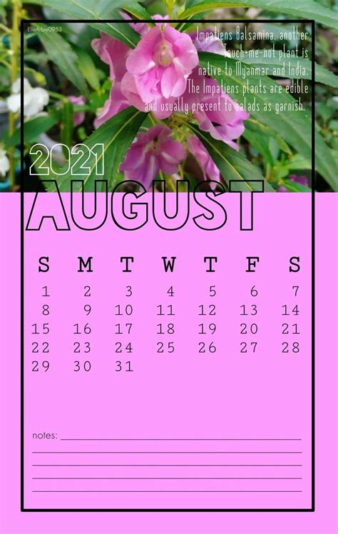 2021 Calendar August 2021 Calendar Calendar Word Search Puzzle