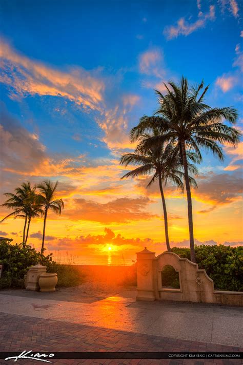 Hollywood Beach Magical Sunrise With Tall Coconut Trees Royal Stock Photo