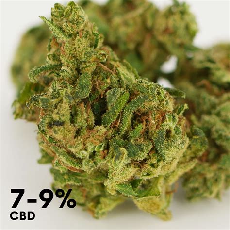 It is one of 113 identified cannabinoids in cannabis plants, along with tetrahydrocannabinol (thc). CBD Onlineshop | CBD Blüten Petzner