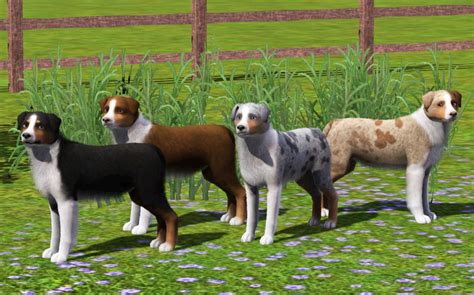 Mod The Sims 4 Improved Australian Shepherds Aussie Shepherd