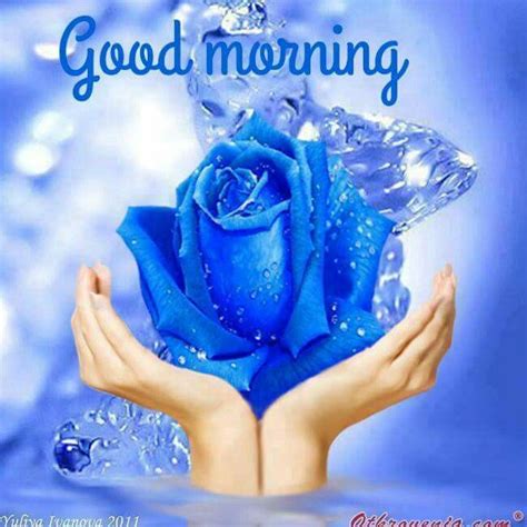 Good Morning Blue Roses Sunday Morning Wishes