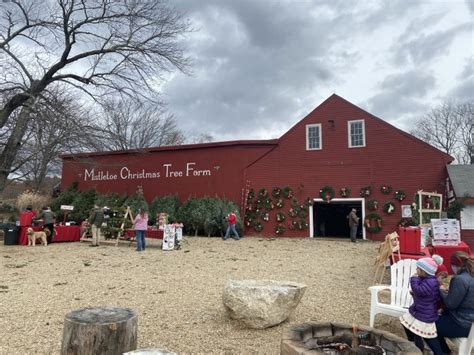 Its Beginning To Look A Lot Like Christmas Christmas Tree Farm Fun