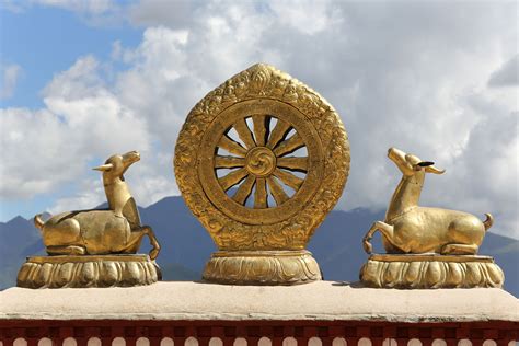 The Dharma Wheel Dharmachakra Symbol Of Buddhism