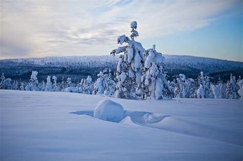 Many people travel to finland during winter as part of a guided tour. Fotos von Lappland Landschaft Finnland Natur Winter Weihnachtsbaum