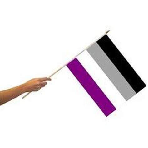 Rainbow Asexual Pride Stick Flag 12x18 In