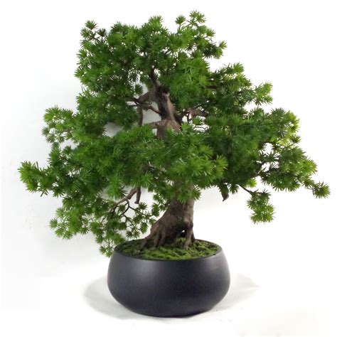 A durable tree, designed for outdoor gardens, the chinese elm can also be displayed indoors for extended periods of time. 50cm Artificial Luxury Pine Bonsai Tree - Leaf Artificial ...