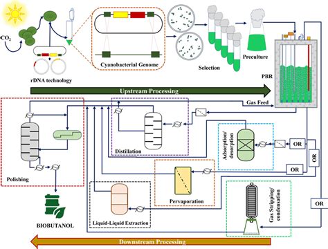 Schematic Diagram Representing Butanol Production Process From