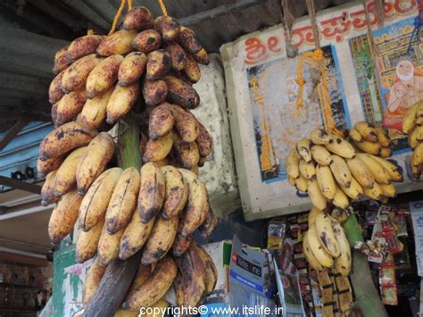 Nanjanagudu Rasabale Banana Plantain Nanjangud Banana