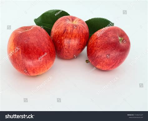 Red Gala Apples White Background Stock Photo 1723631227 Shutterstock