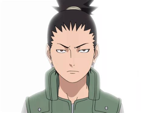 Shikamaru Nara Naruto Wiki Fandom