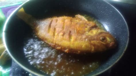 Kalau ada ikan siakap atau ikan bawal lagi best. Resepi Ikan Talapia Hitam Masak Lemak ~ Resep Masakan Khas