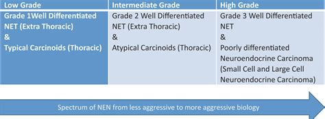 Frontiers Management Of Large Cell Neuroendocrine Carcinoma