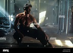 The specialist 1994 sylvester stallone -Fotos und -Bildmaterial in ...