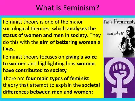 What Is Feminist Theory