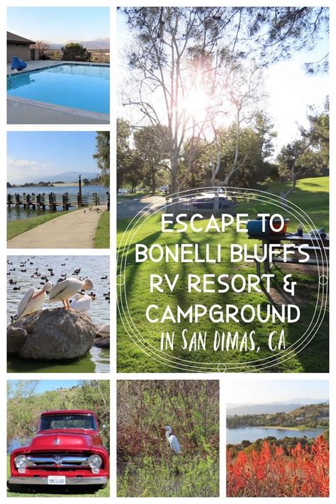 Escape To Bonelli Bluffs Rv Resort And Campground In 2021 Resort
