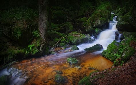 Nature Landscape Waterfall Creeks Moss Rocks Hd Wallpaper