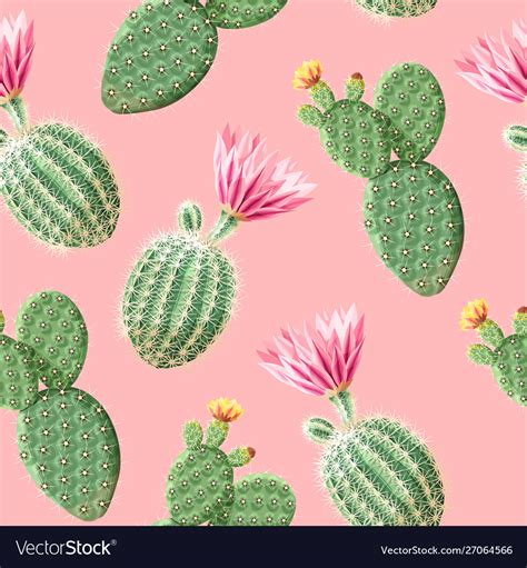 Cactus With Pink Flowers On Light Background Vector Image
