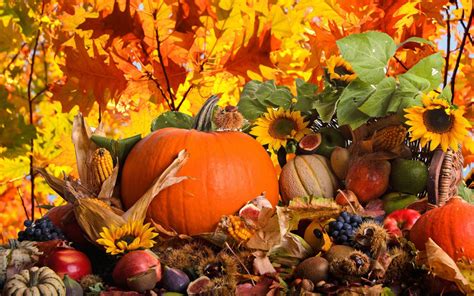 Autumn Trees Nature Landscape Leaf Leaves Thanksgiving Wallpaper 2560x1600 469078 Wallpaperup