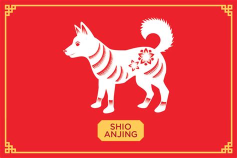 Watak Kamu Di Balik Uniknya Asal Usul Shio Kalender China - Berita Aneh dan Unik Terbaru