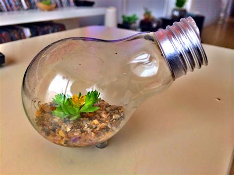Light Bulb Succulent Terrarium
