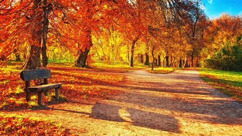 Rest Autumn Park Wallpapers Wallpaper Cave