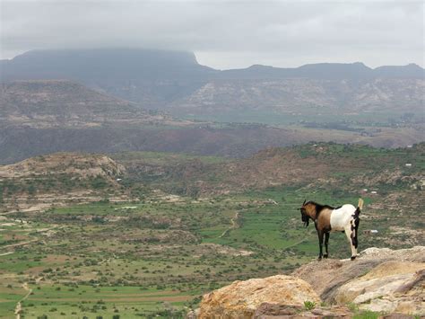 In The Foreground Are The Highlands Of Ethiopia With Ras Dashen The