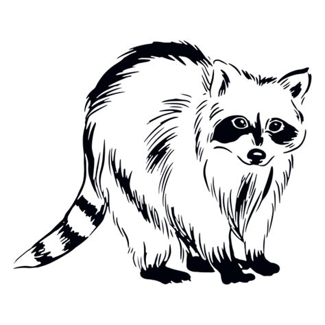 Cute Raccoon Hand Drawn Png And Svg Design For T Shirts
