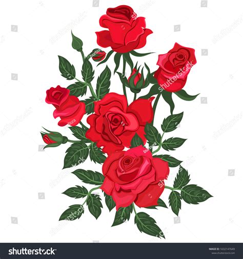 Bunch Red Roses Isolated On White Stock Vector Royalty Free