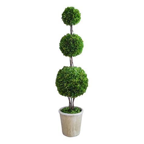 Preserved Boxwood Topiary Triple Ball 59 Mills Floral Company