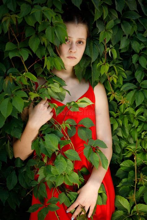 Young Girl In A Red Dress In Green Ivy Stock Image Image Of Adult